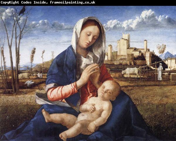Gentile Bellini The Madonna of the Meadow